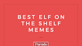 Madonna on an Iguana?! You Can't Beat These Funny Elf on the Shelf Memes