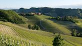 Examining Exceptional Barolo Vineyards