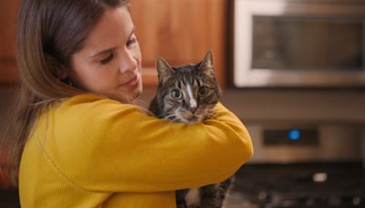 2024 Hot Docs 'American Cats: The Good, the Bad, and the Cuddly' exposes the torture of cat declawing, just to protect furniture