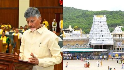 Tirupati laddu row | ‘Gods should be kept away from politics’: SC pulls up Chandrababu Naidu over his ‘animal fat in prasadam’ claim