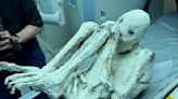 Mystery Peru 'alien mummies' deepens after new fingerprint analysis