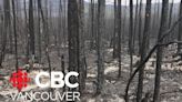 Holdover fires part of wildfire threat in B.C.’s northeast