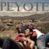 Peyote