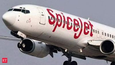 SpiceJet says Sun Group's claims of damages are unfounded