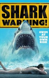 Shark Warning!