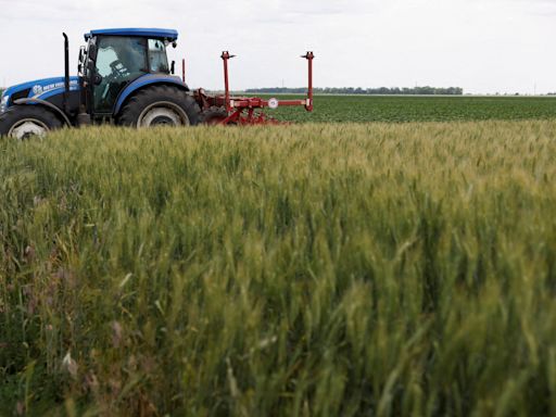 Ucrânia foi o principal país fornecedor de cereais a Portugal em 2023
