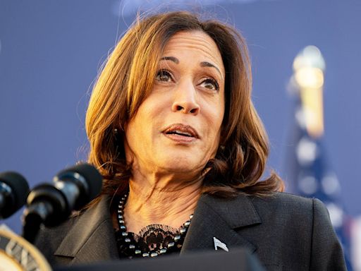 Kamala Harris' husband claims she's not concerned with poor polling numbers: 'Just bounces right off her'