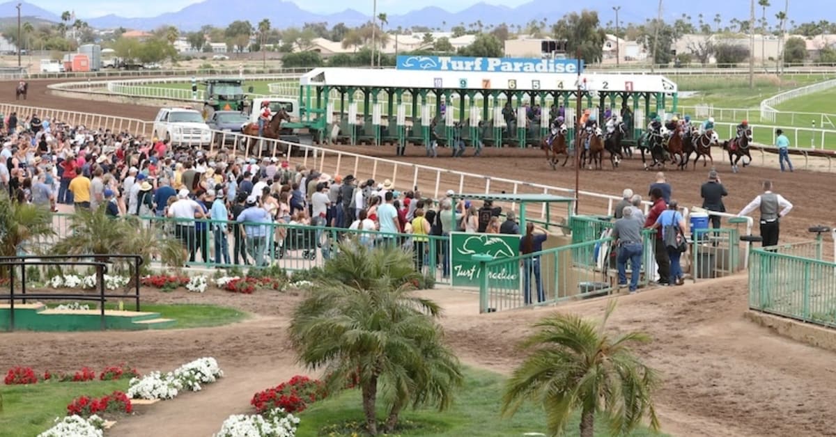 Report: Commission Approves Conditional License For Turf Paradise As Auditor Flags Financial Concerns