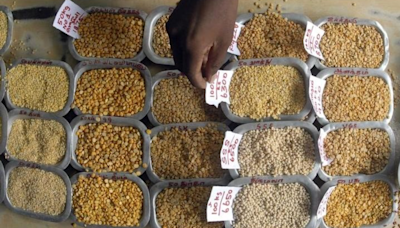 Pulses supply improves, Govt asks retailers to cut prices