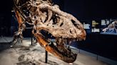 The evolutionary twist that could have helped dinosaurs rule Earth