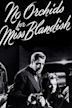 No Orchids for Miss Blandish (film)