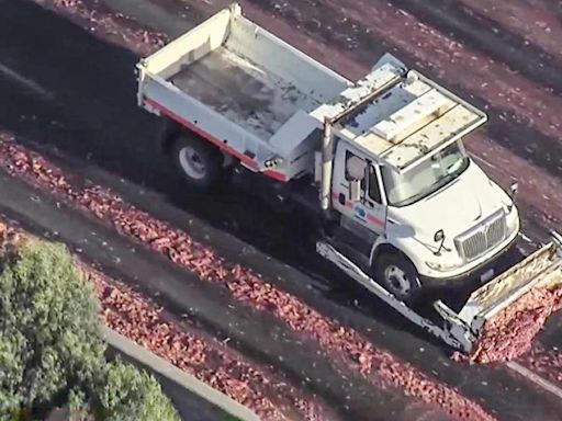 "Meat spill" shuts down northbound lanes of I-880 in Oakland