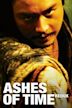 Ashes of Time Redux