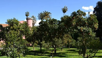 Planta all'Orto Botanico di Napoli festeggia Federico II