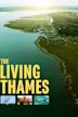 The Living Thames