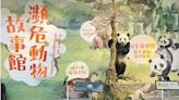 大熊貓「團團」回來了！大象林旺標本師操刀 重返瀕危動物故事館