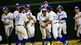 Who's gonna win? Our picks for baseball, softball districts in Southwest Florida