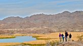 For some of the best birding in Arizona, try this less-visited destination. Here's how