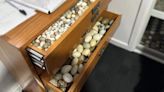 More than 3000 endangered birds eggs got sized during raid in Tasmania