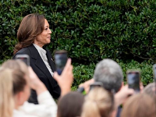 As Harris moves to secure the Democratic nomination, misinformation follows soon after online