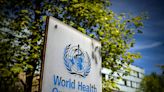 WHO pandemic preparedness treaty will not remove human rights protections, curb freedoms