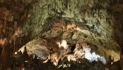 How a discarded bag of Cheetos is threatening a cave’s delicate ecosystem, home to bats and insects