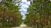 Just imagine how John Lennon's 'Imagine' inspired the creation of Negros' frontier town