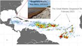 A 5,000-mile-wide mass of seaweed is headed for Florida. Is Pensacola Beach at risk?