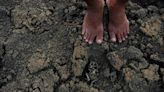 Chegada do La Niña acende alerta sobre as secas que ocorrerão a partir de julho, com impacto sobre o setor elétrico - AMAZÔNIA BRASIL RÁDIO WEB