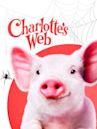 Charlotte's Web