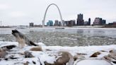 St. Louis Sues Hyundai, Kia Over Car Thefts, Joining Other US Cities