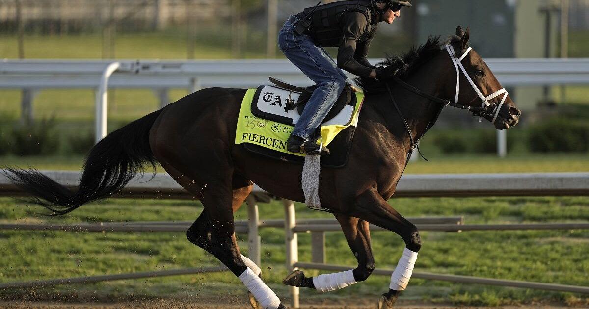 KENTUCKY DERBY: After top betting choices Fierceness and Sierra Leone -- field is wide open