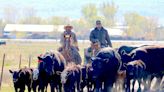 Water and grass drives ranching business