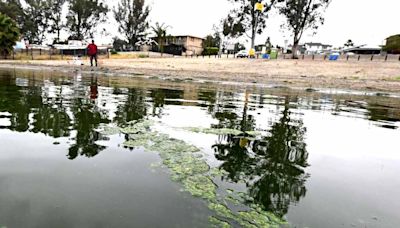 Toxic algae blooms hit Inland Empire lakes, threaten people and pets