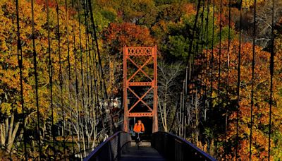 When could fall foliage peak? This interactive map gives an idea on the timing