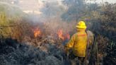 Desafíos en el combate a incendios forestales