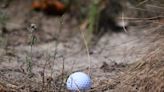 Canada, new intense brawl on a golf course