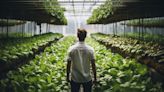 Why Are Analysts Bullish on The Scotts Miracle-Gro Company (SMG) Right Now?