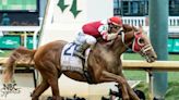 Want to buy a Kentucky Derby winner? Long-shot champ retired, will be sold at Keeneland.