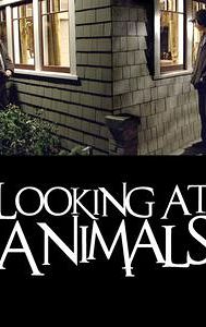 Looking at Animals