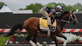 Mud would likely enhance Mystik Dan’s chances to win Preakness | Chattanooga Times Free Press