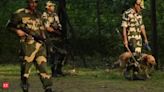 BSF beefs up security along Indo-Bangla border, launches crackdown on smugglers
