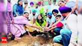 District Administration Plants 1.87 Lakh Saplings in Ludhiana under Massive Green Drive | Ludhiana News - Times of India
