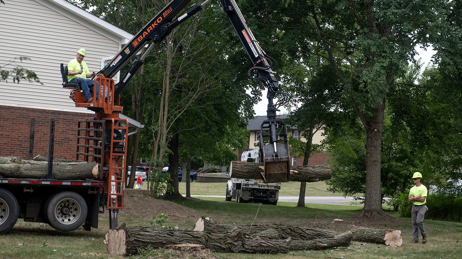 Tree removal at AMHA complex in Cuyahoga Falls puzzles residents; agency explains reasons
