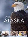 Wild Alaska