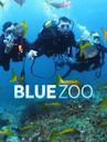 Blue Zoo