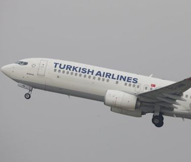 Turkish Airlines anuncia su llegada a Chile en diciembre: conectará Santiago y Estambul con cuatro vuelos semanales | Diario Financiero