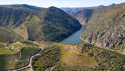 Portugal, um país vitícola sem grande tino