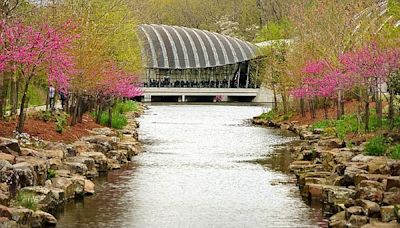 Crystal Bridges begins a weekend of wellness events centered around healthy living | Northwest Arkansas Democrat-Gazette