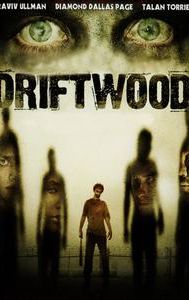 Driftwood (2006 film)